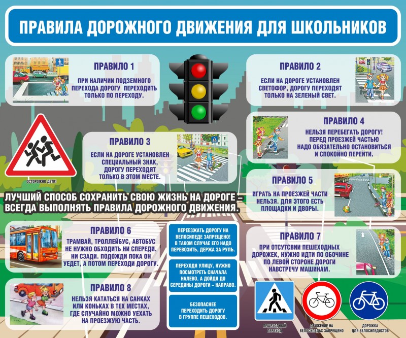 24431_ЗП2020454.jpg